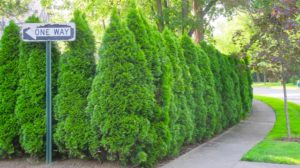 Instant privacy hedge